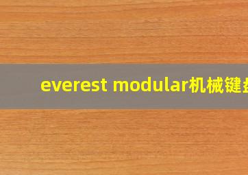 everest modular机械键盘